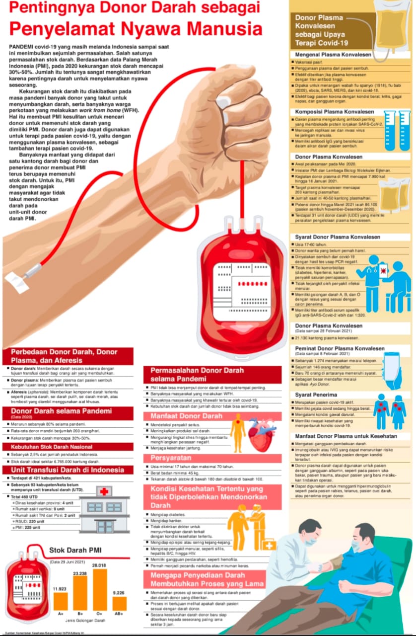 Pentingnya Donor Darah Sebagai Penyelamat Nyawa Manusia